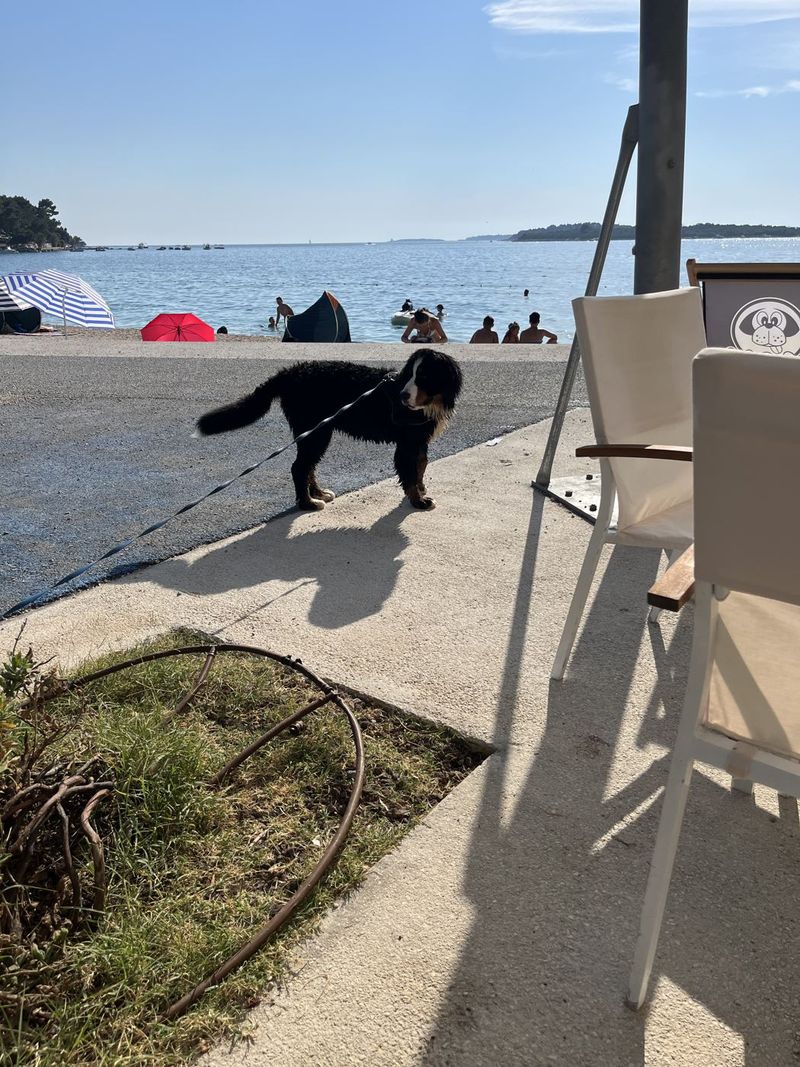 Verkennen bij het strand