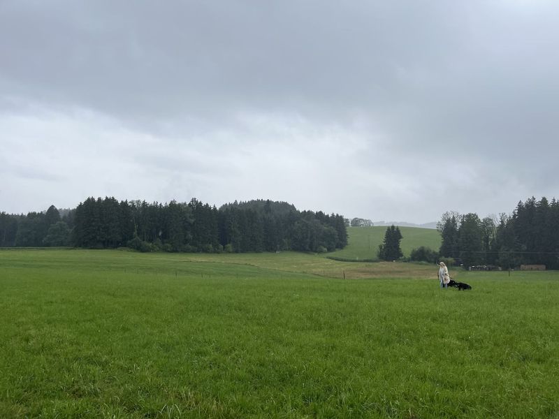 Groene velden onder een grijze lucht