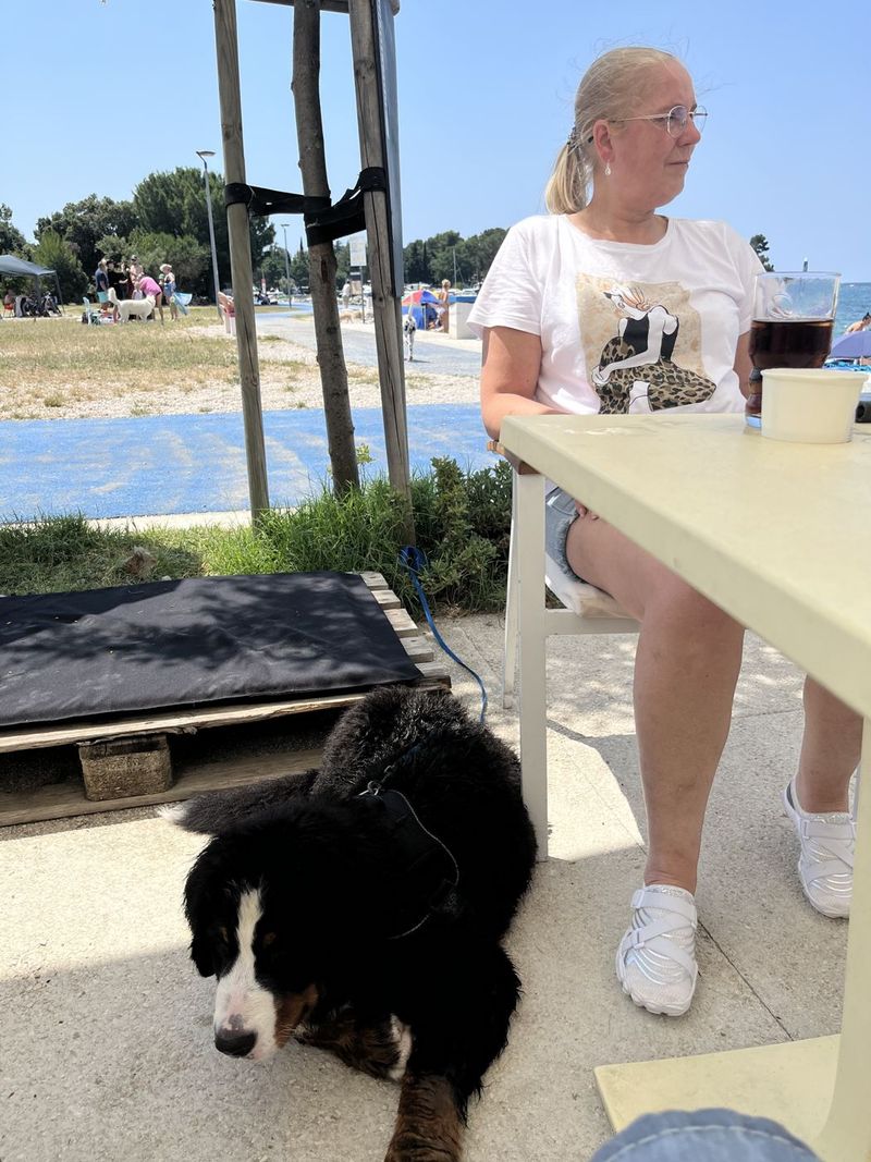 Aangekomen aan de kust