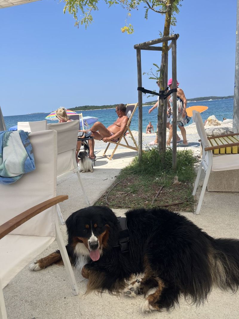 Strandtentje met zicht op zee