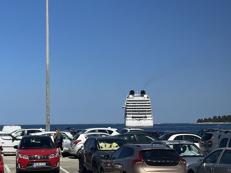 Een cruiseschip in de baai