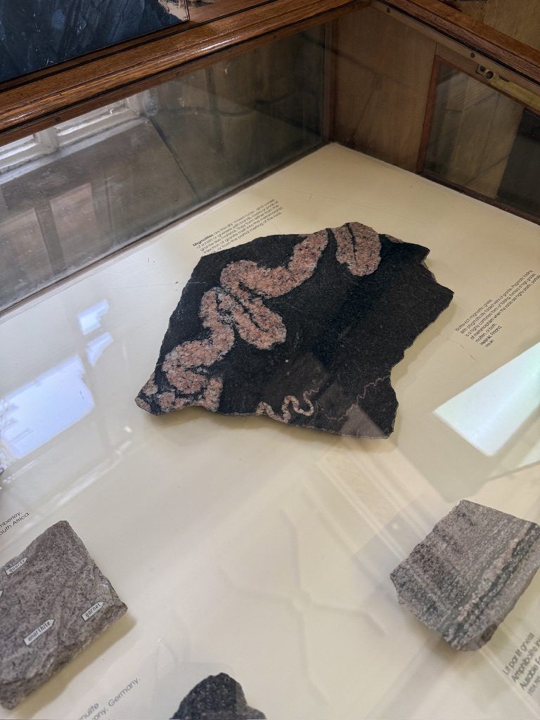Uno dei tanti campioni di minerali nella sala Vault del museo.