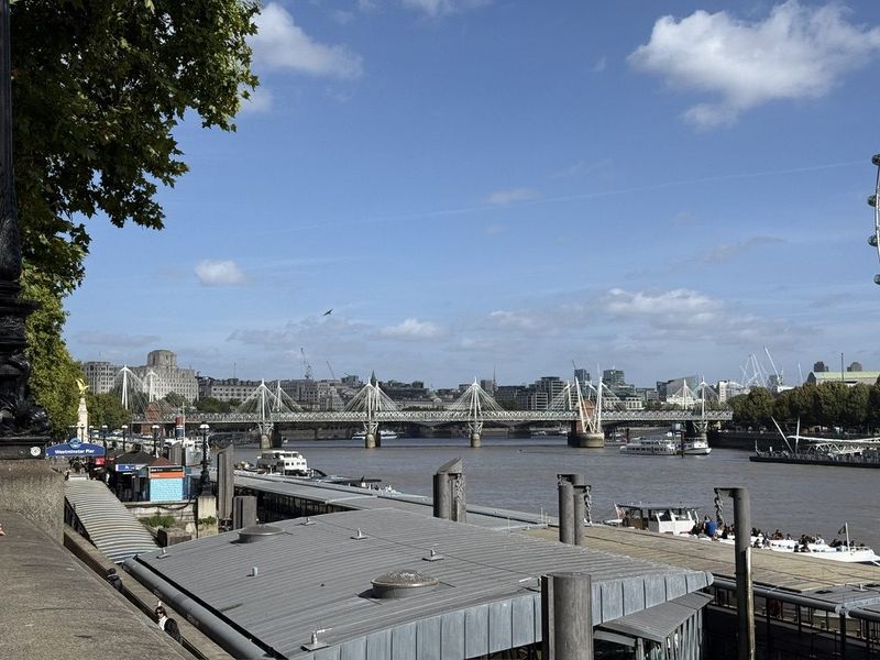 Vista sul Tamigi da Westminster Pier, con l'Hungerford Bridge sullo sfondo.