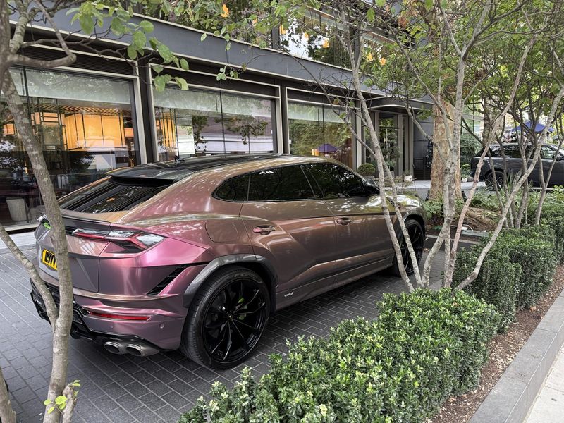 Sulla strada per lo zoo incrociamo questa Lamborghini che non passa inosservata, parcheggiata nel verde.