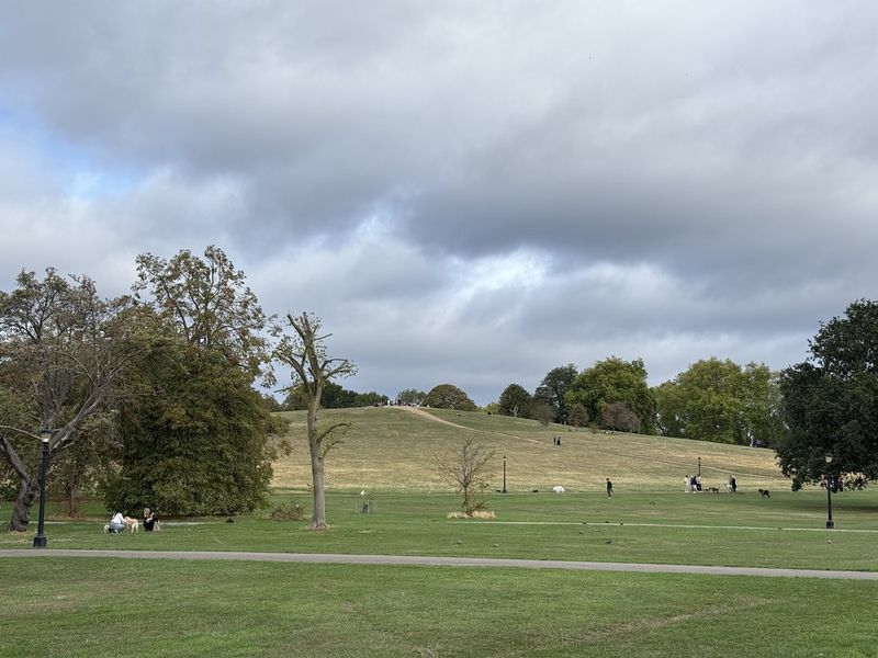 Una passeggiata attraverso Regent's Park, ed ecco Primrose Hill sulla strada verso l'ingresso dello zoo.
