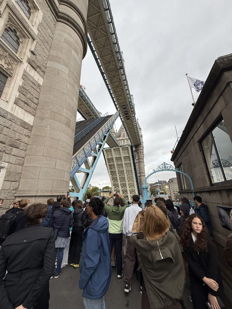 Sulla via del ritorno tocca aspettare: il Tower Bridge si apre per una barca a vela, e tutti si mettono a filmare.