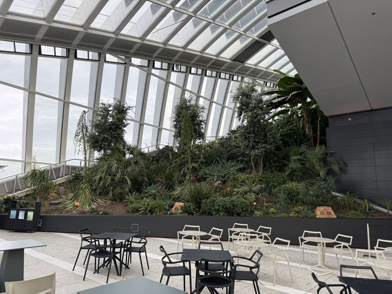 Lassù nello Sky Garden è ancora tutto tranquillo e vuoto, ben prima della folla: la sessione Sunrise è appena cominciata.
