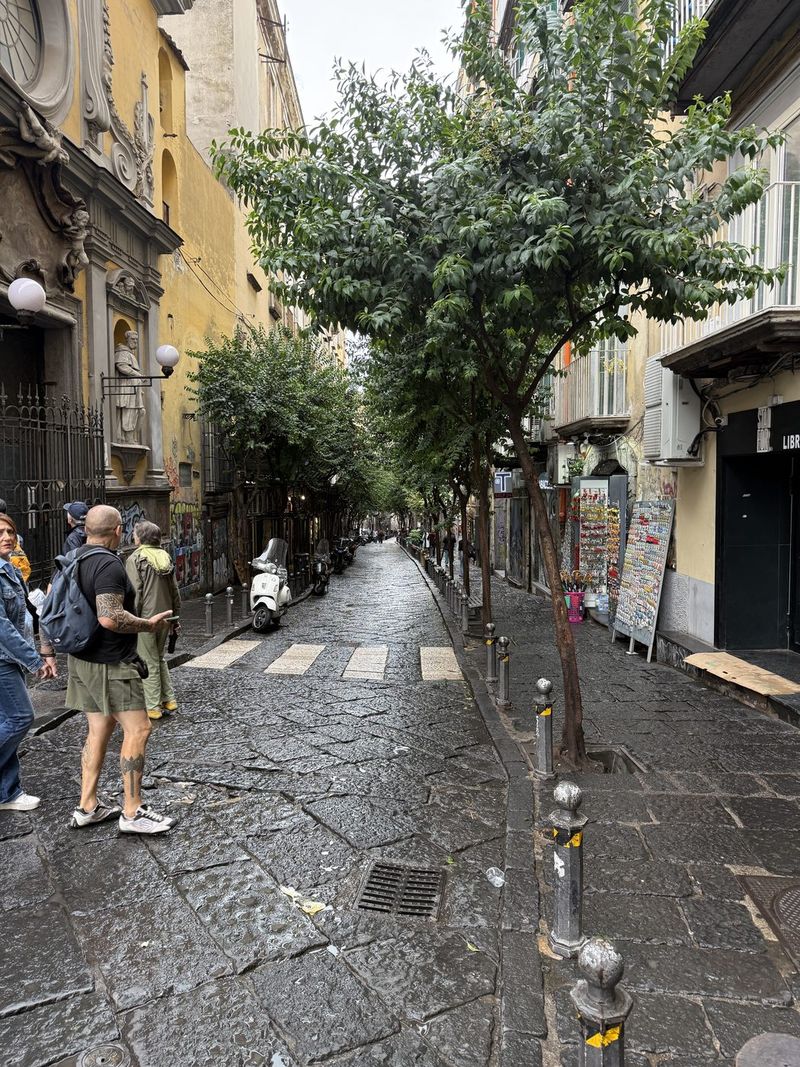 A little street with a lovely row of trees, a contrast with the streets around it. Then back to Bruno’s by Uber, and of course by then it was dry again.